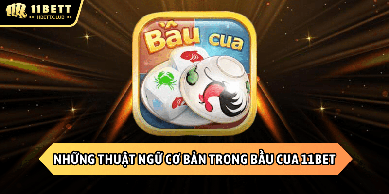 Các thuật ngữ cần nắm rõ