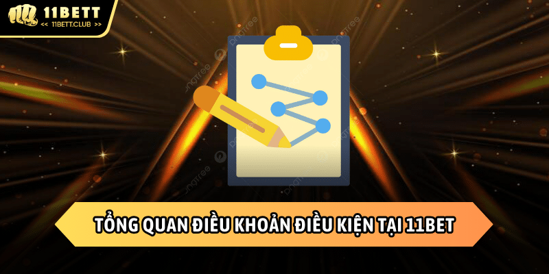 Tổng quan về chính sách và điều khoản điều kiện tại 11BET