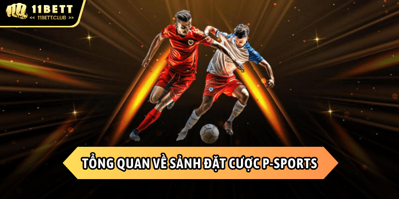 Một vài thông tin về sảnh thể thao P-Sports